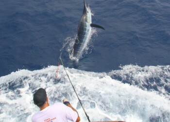 NSWGFA Interclub wraps up for 2010